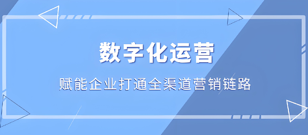 武榮網(wǎng)絡(luò)：塑造企業(yè)數(shù)字形象，提升網(wǎng)絡(luò)營銷效益